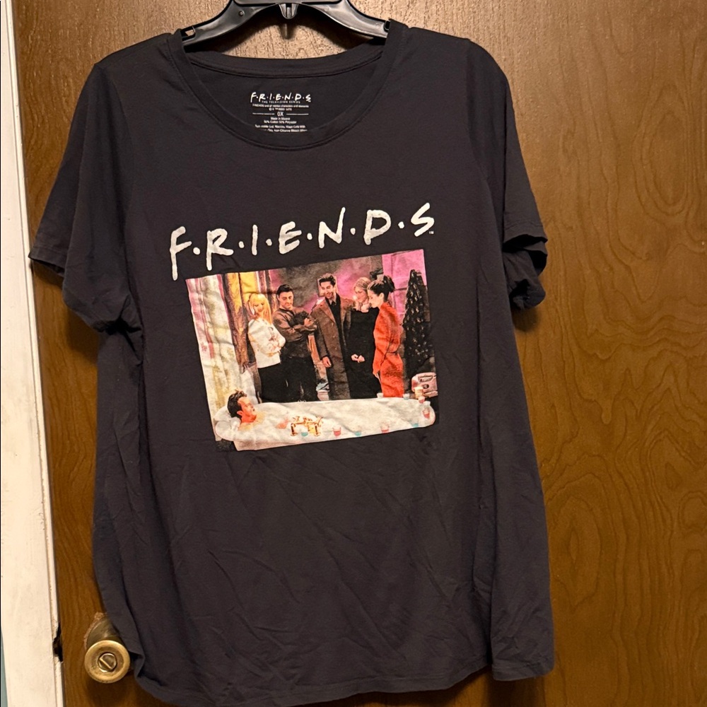 FRIENDS Gray Tee with Multicolor Cast Print Size 0X